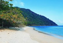 Bỏ túi kinh nghiệm du lịch Côn Đảo chi tiết dành cho người mới đi lần đầu