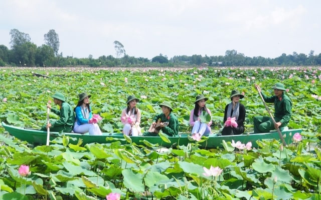 Ngẩn ngơ trước vẻ đẹp khu du lịch Đồng Sen Tháp Mười nổi tiếng Đồng Tháp 