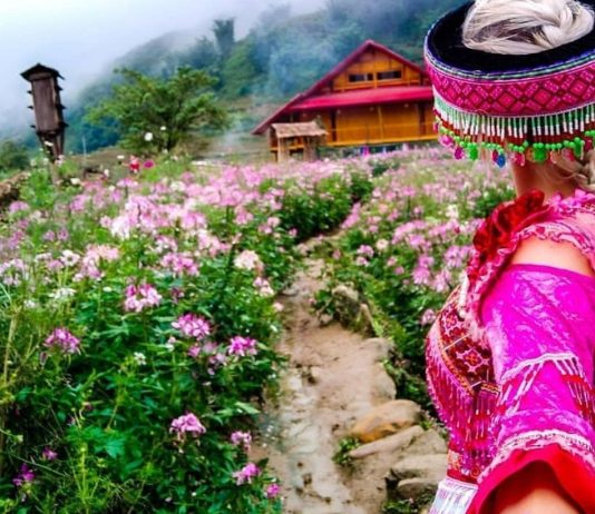 Du lịch Sapa